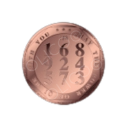 Copper Silver LPN2